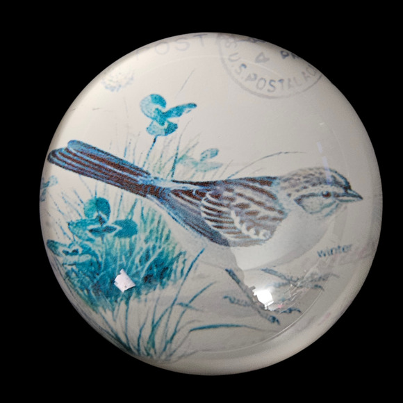 Vintage Glass Paperweight Winter Bird Illustration USPS Postcard Theme - Picture 5 of 6